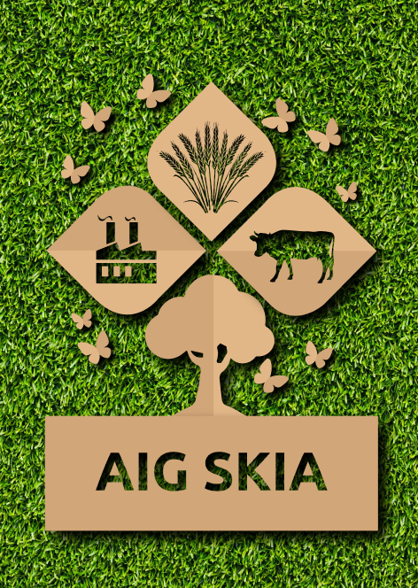 SKIA Group of companies