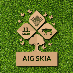 SKIA Group of companies